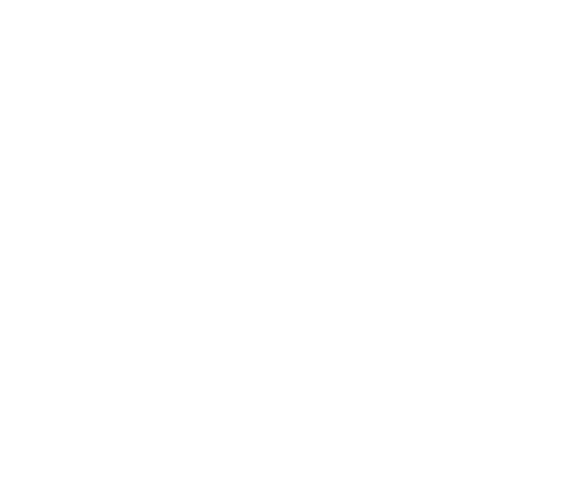 Freiwilligenweb Logo