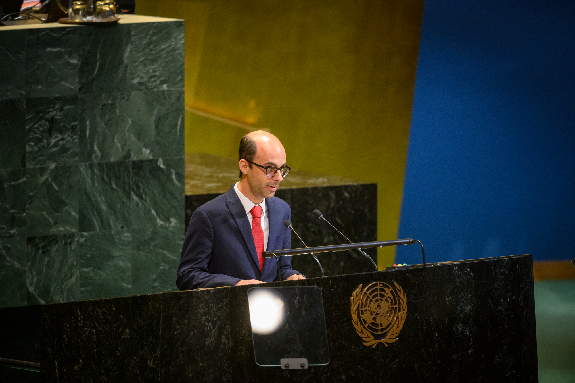 General Assembly, 87th plenary meeting